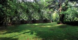 King Albert Park (D21), Detached #586544471